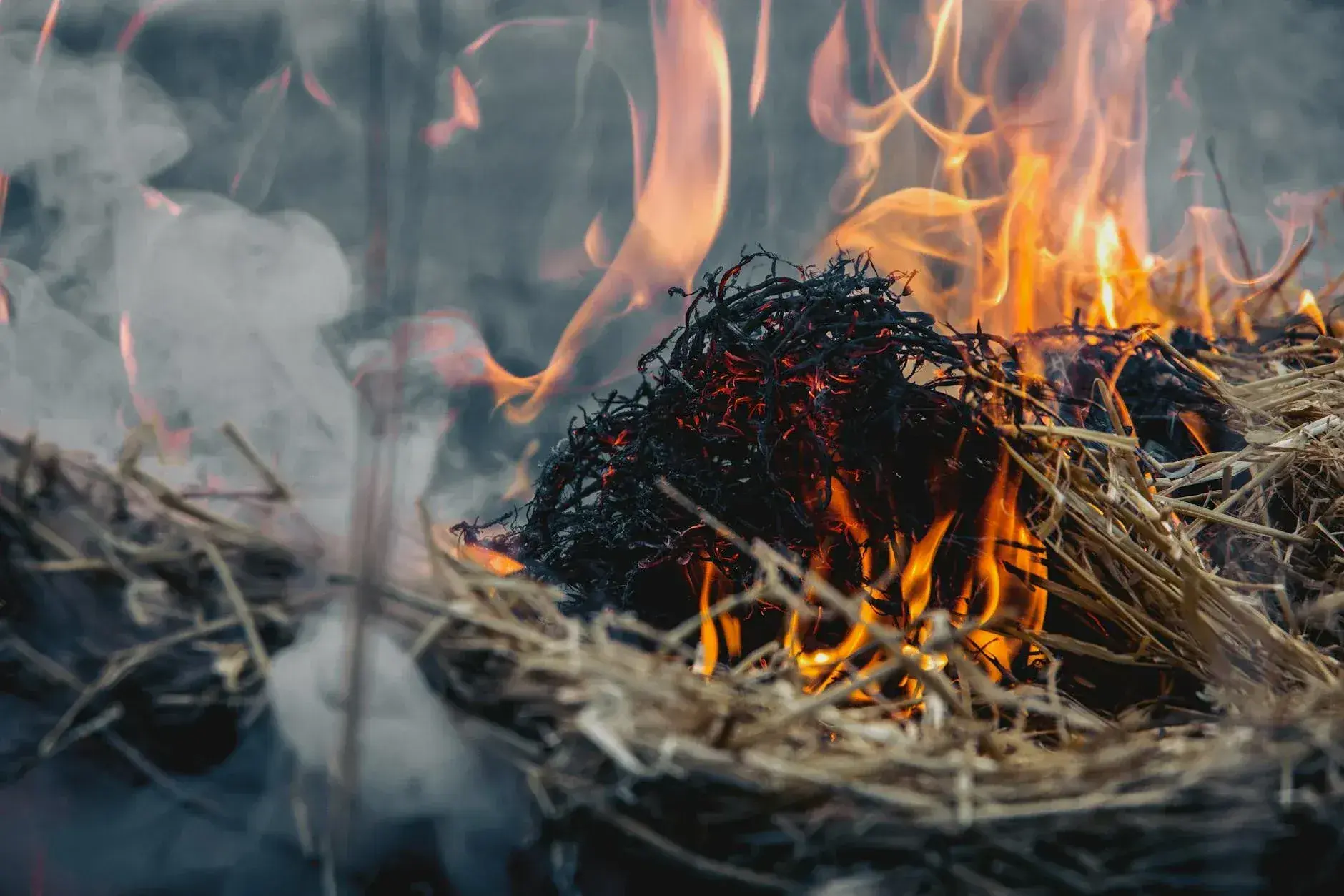 Et tæt billede af en høbrand med kraftige flammer og stigende røg udendørs. Scenen viser tydeligt brandets intensitet.