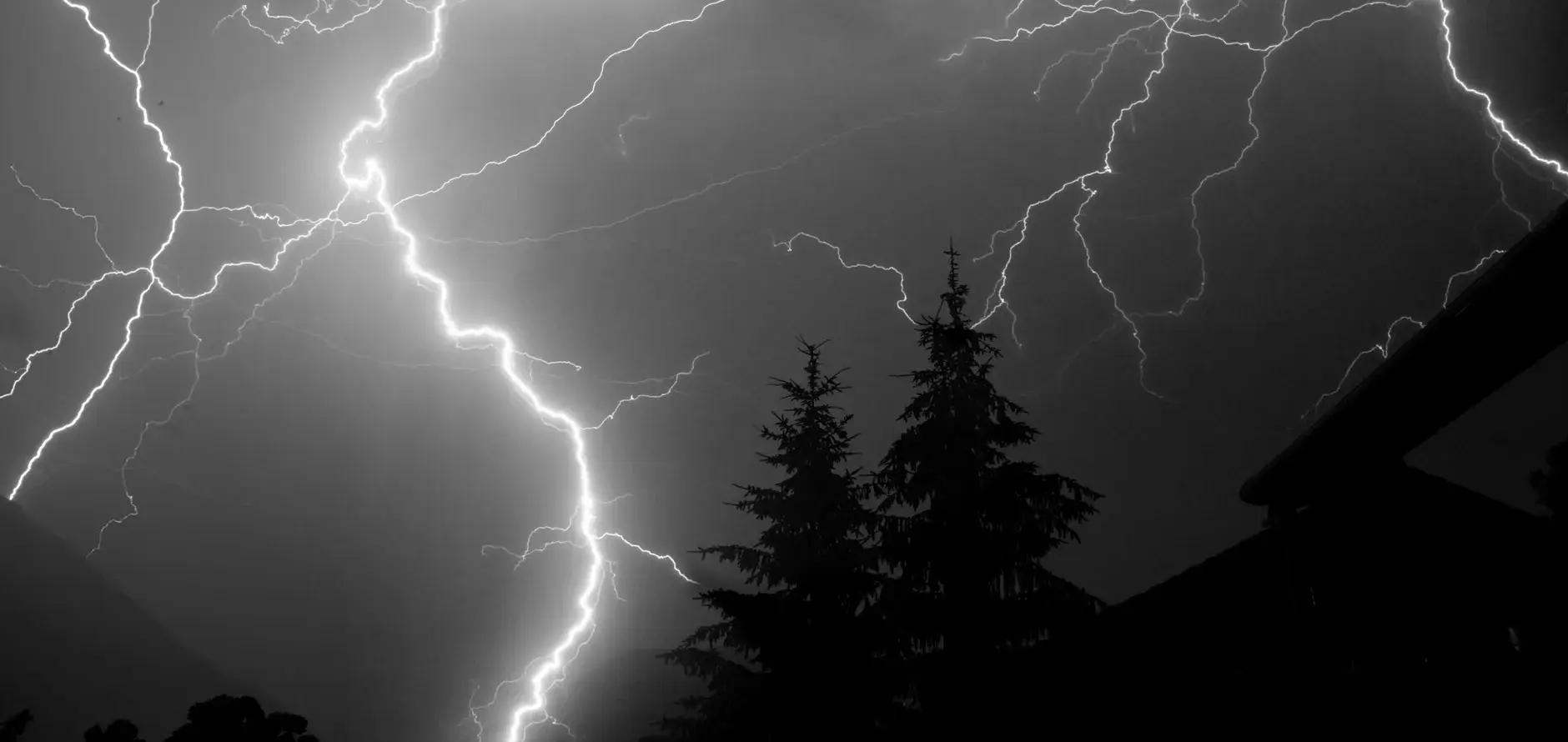 Et dramatisk billede af en tordenstorm om natten over fyrreskove. Lynet lyser op himlen.