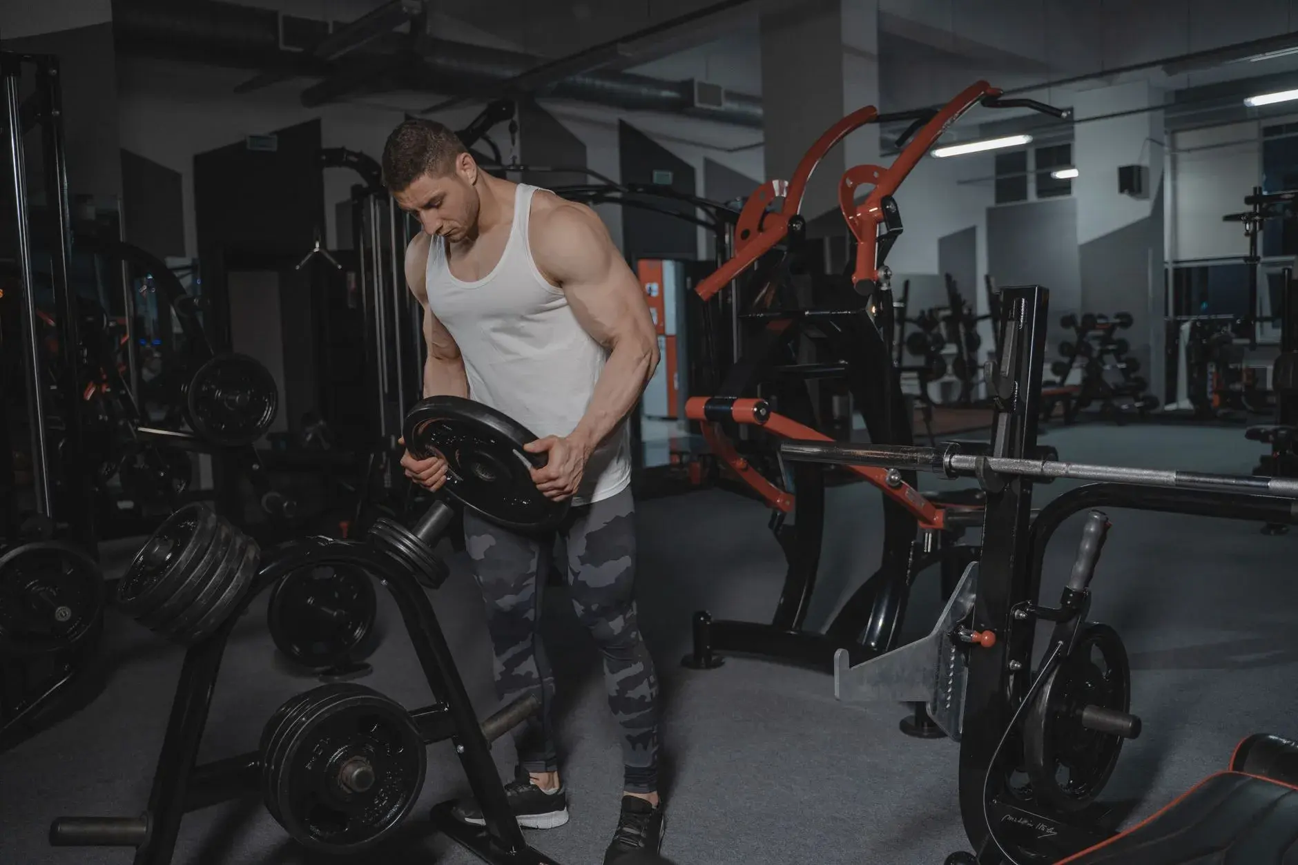 bodybuilding-fitness