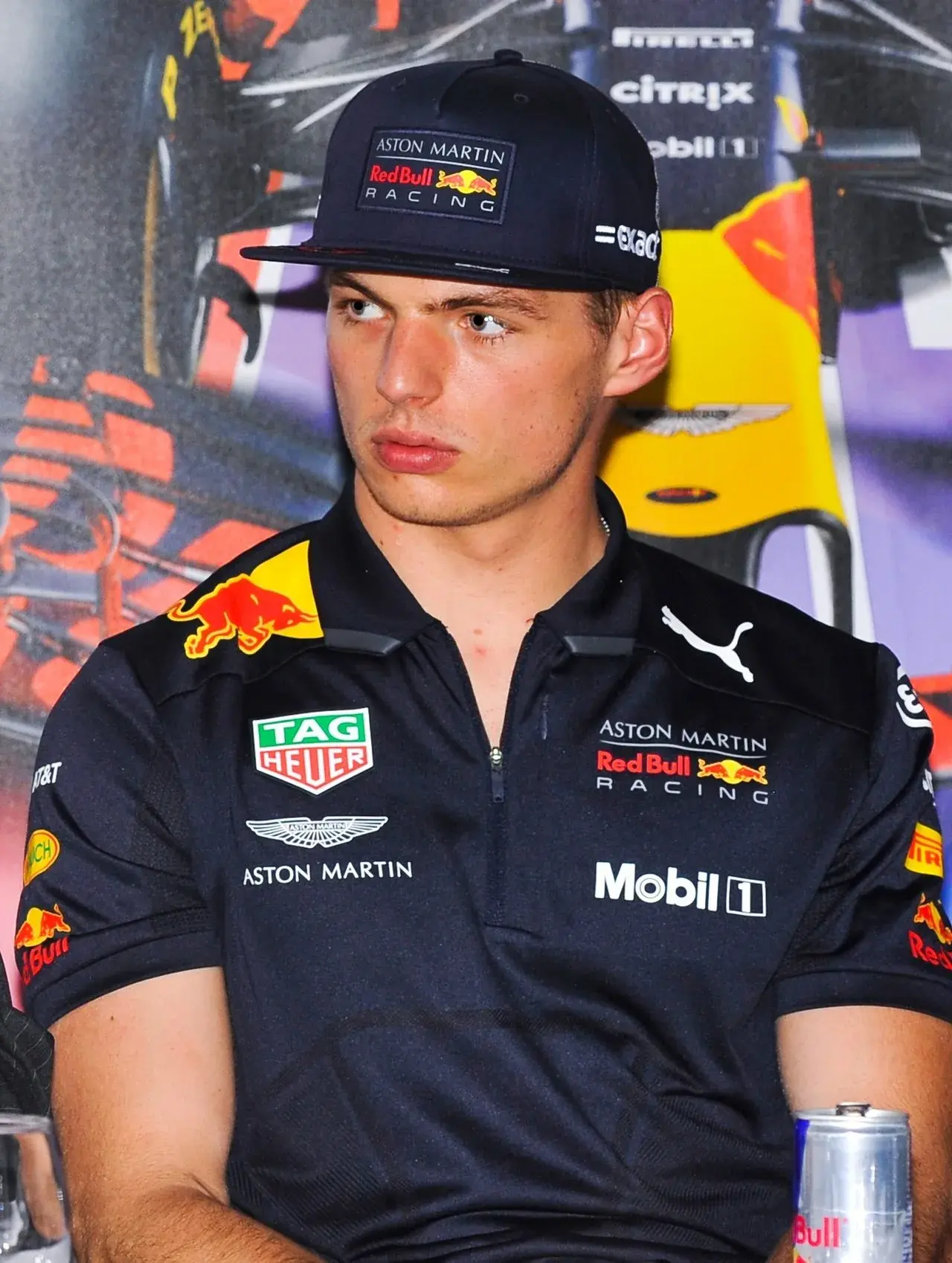 Max Verstappen driving his Red Bull Racing car during the 2018 Hungarian Grand Prix at the Hungaroring.