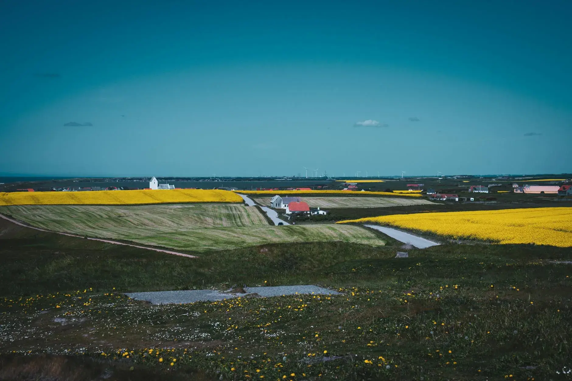 Et smukt dansk landskab med gule rapsmarker, en kirke og kystlinjen i baggrunden. Stemningen er rolig og naturskøn med dramatisk lys over markerne.