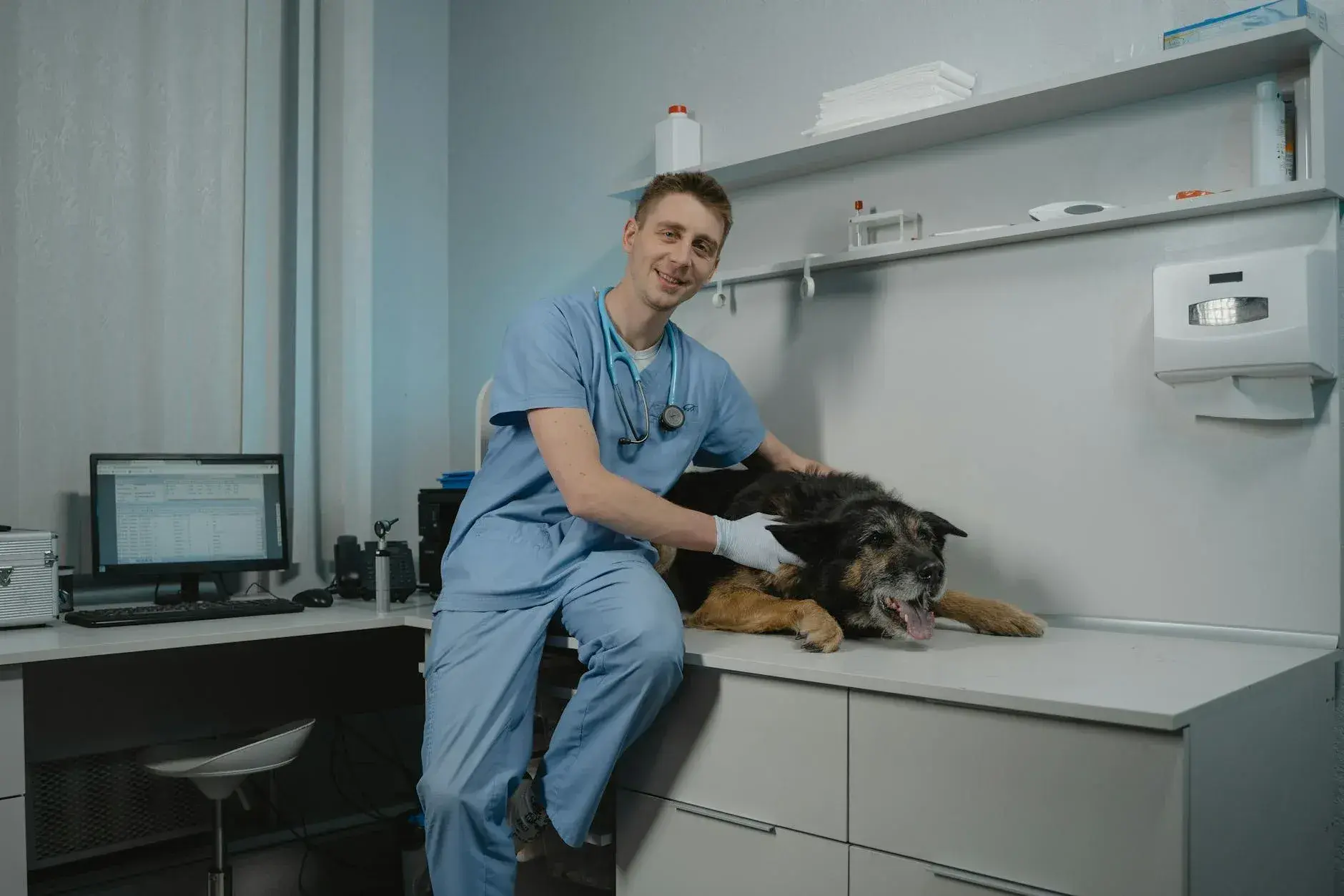 En dyrlæge undersøger en sort hund i en moderne veterinærklinik. Billedet illustrerer professionel dyrepleje og veterinær behandling.