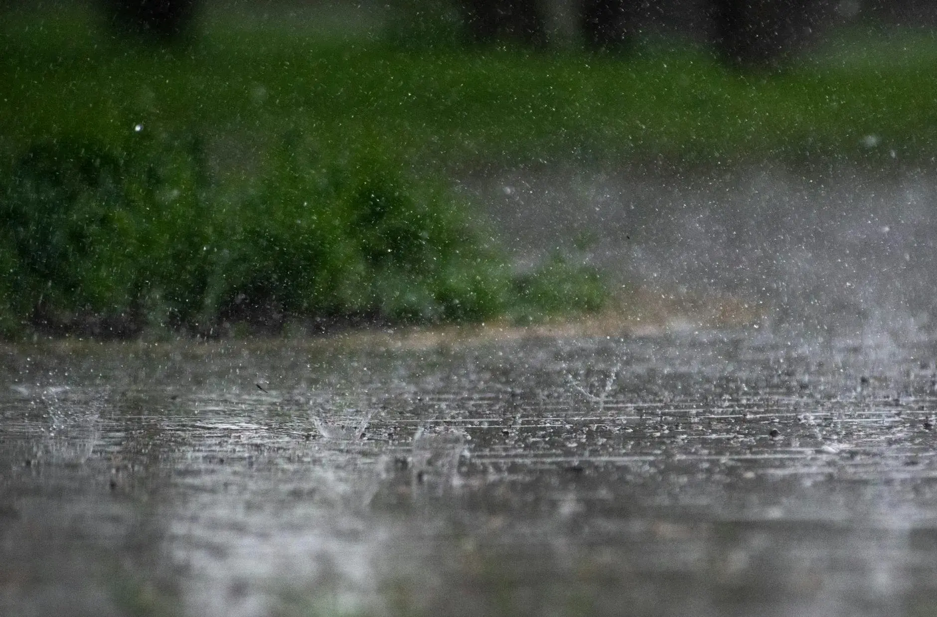 Kraftig regn rammer fortovet i tætte dråber, mens grøn beplantning anes i baggrunden. Stemningen er kold og fugtig, typisk for et hårdt regnvejr.