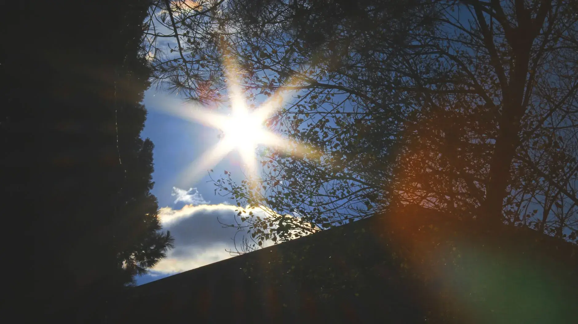 Solens stråler siver gennem træernes grene og skaber en markant naturlig sunburst-effekt. Lyset danner et dramatisk mønster i skovens dybde.