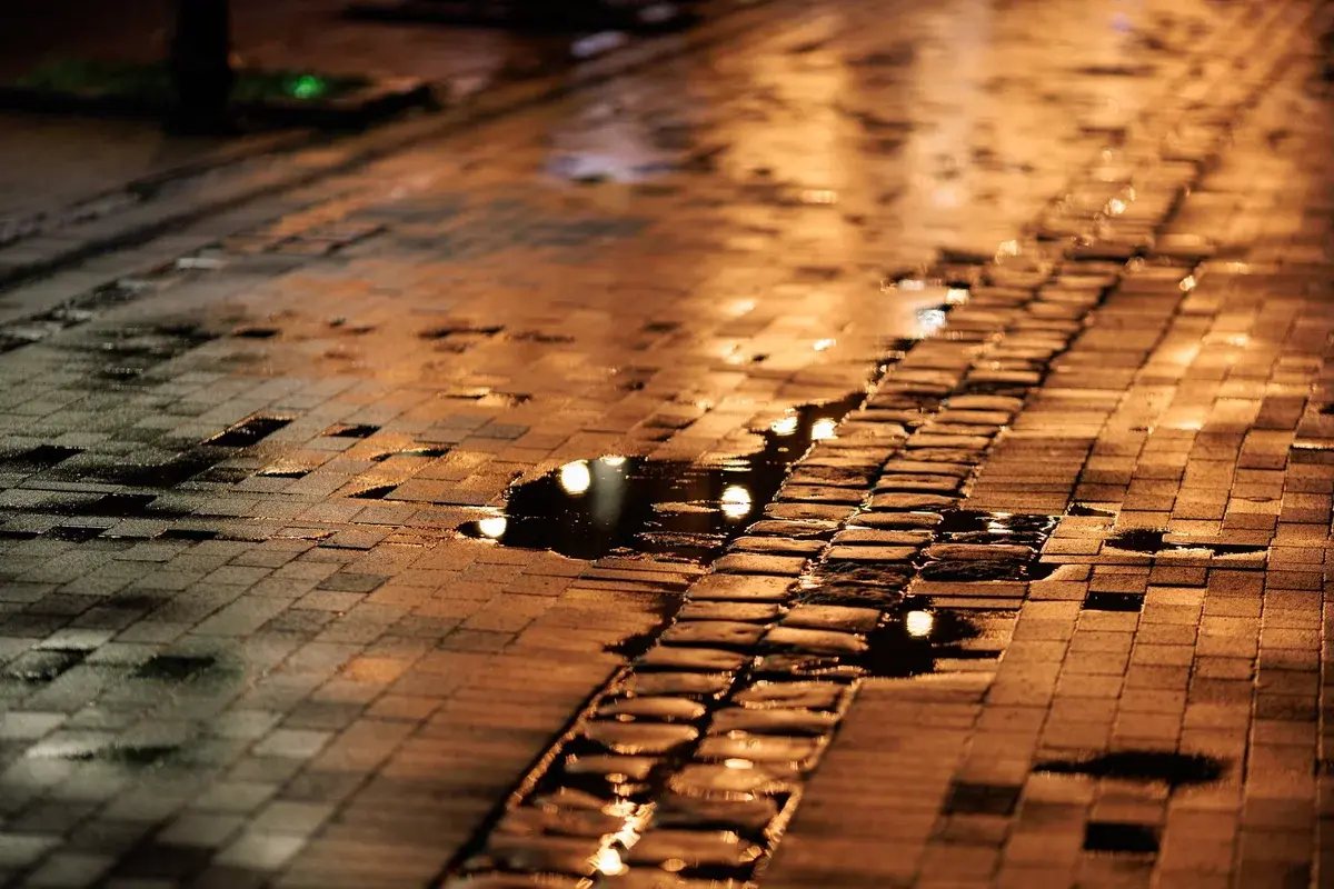 Wet cobblestone pavement reflecting streetlights at night.