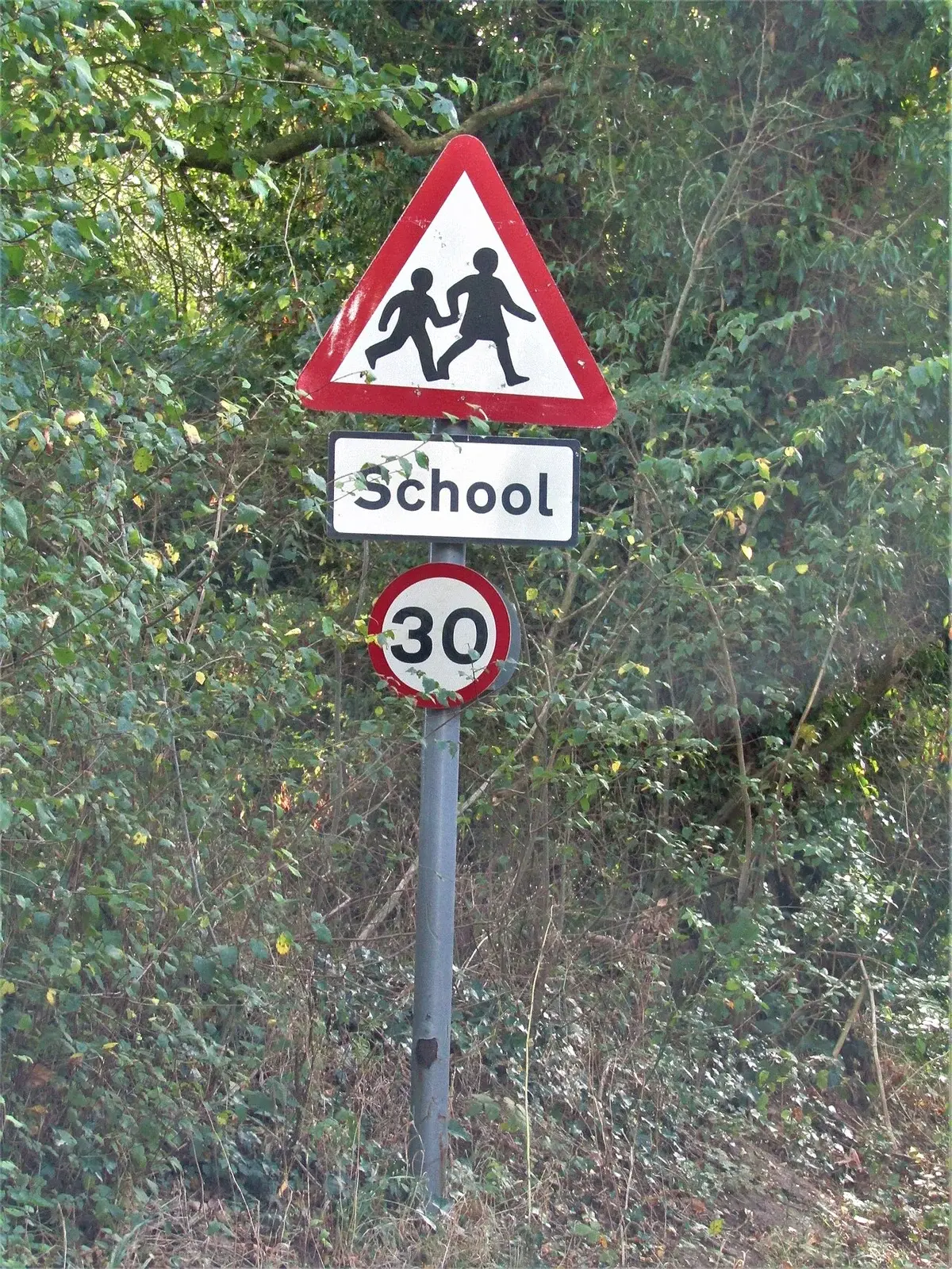 Road sign warning of schoolchildren with a 30 speed limit sign.