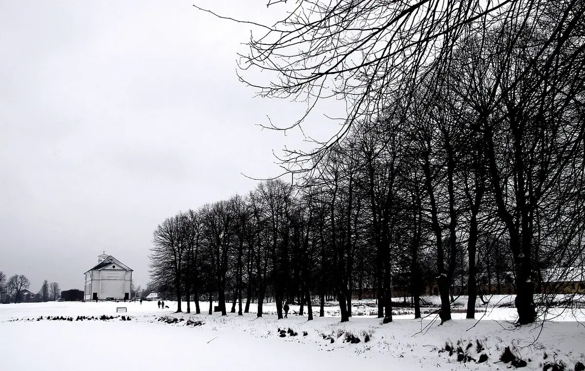 Snowy park landscape with bare trees and a white building in the distance.