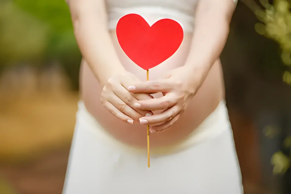 Pregnant woman holding red heart decoration in front of belly