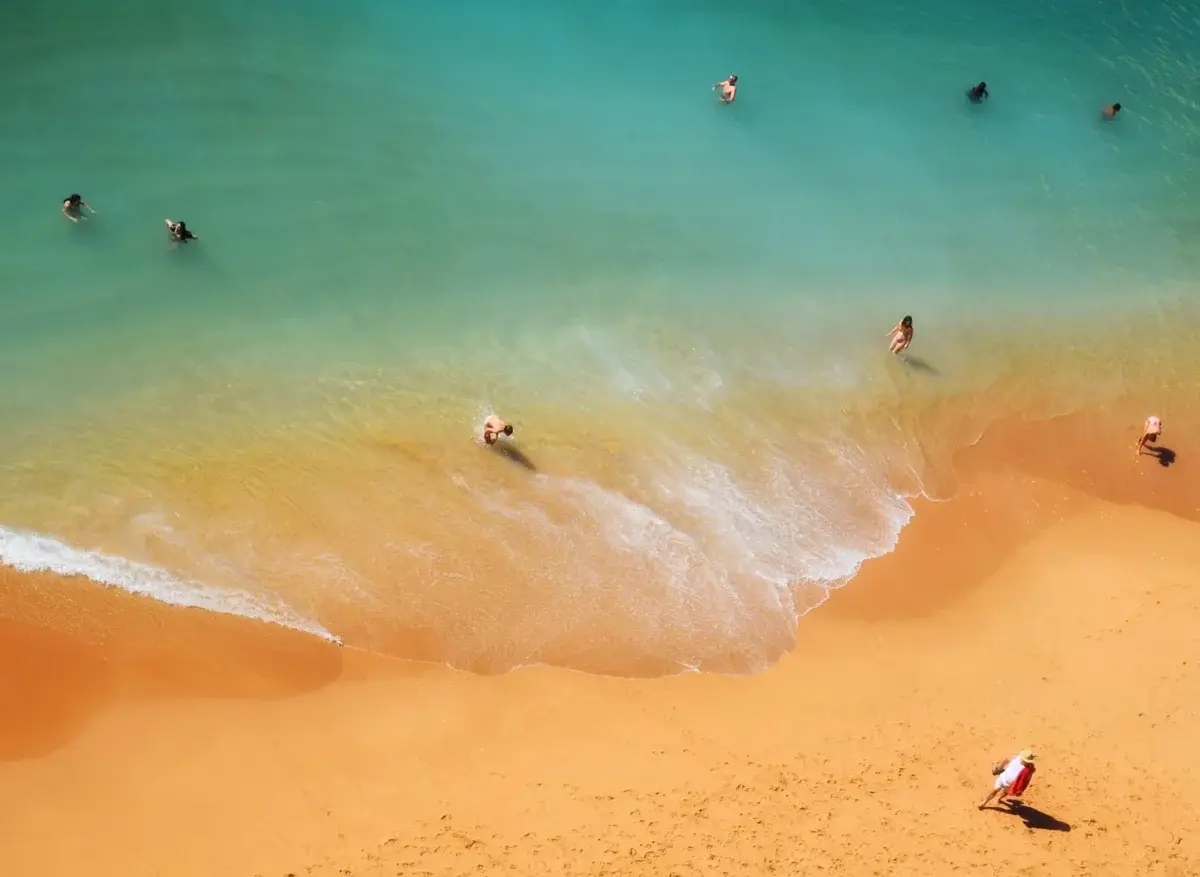 aerial view of people swimming and walking on a sunny beach