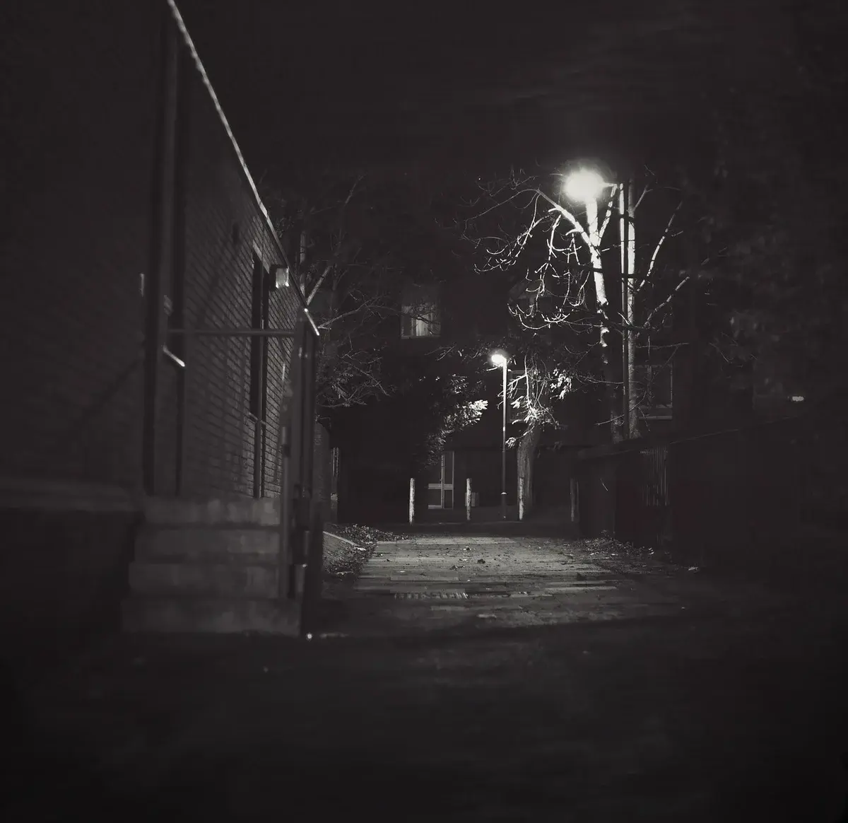 A dimly lit urban alley at night with streetlights and bare trees.