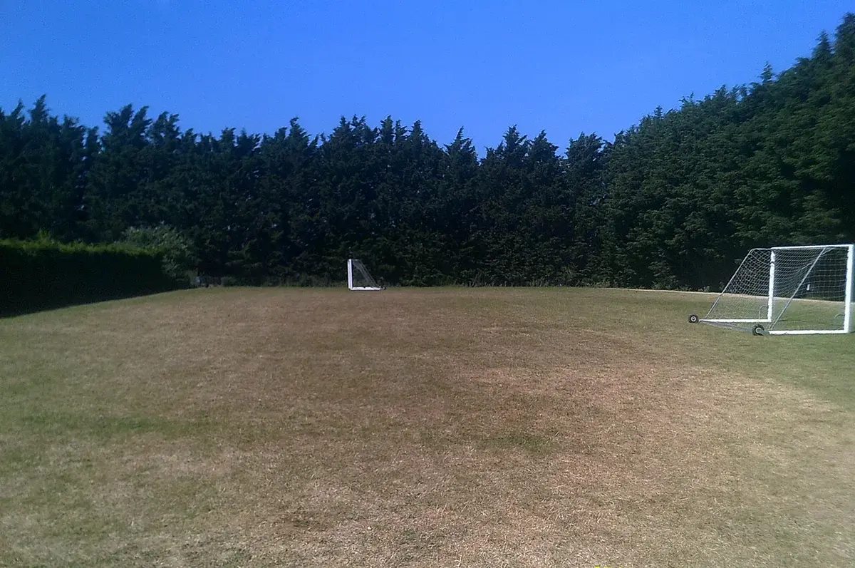 A small football pitch with two goals in a wooded park.