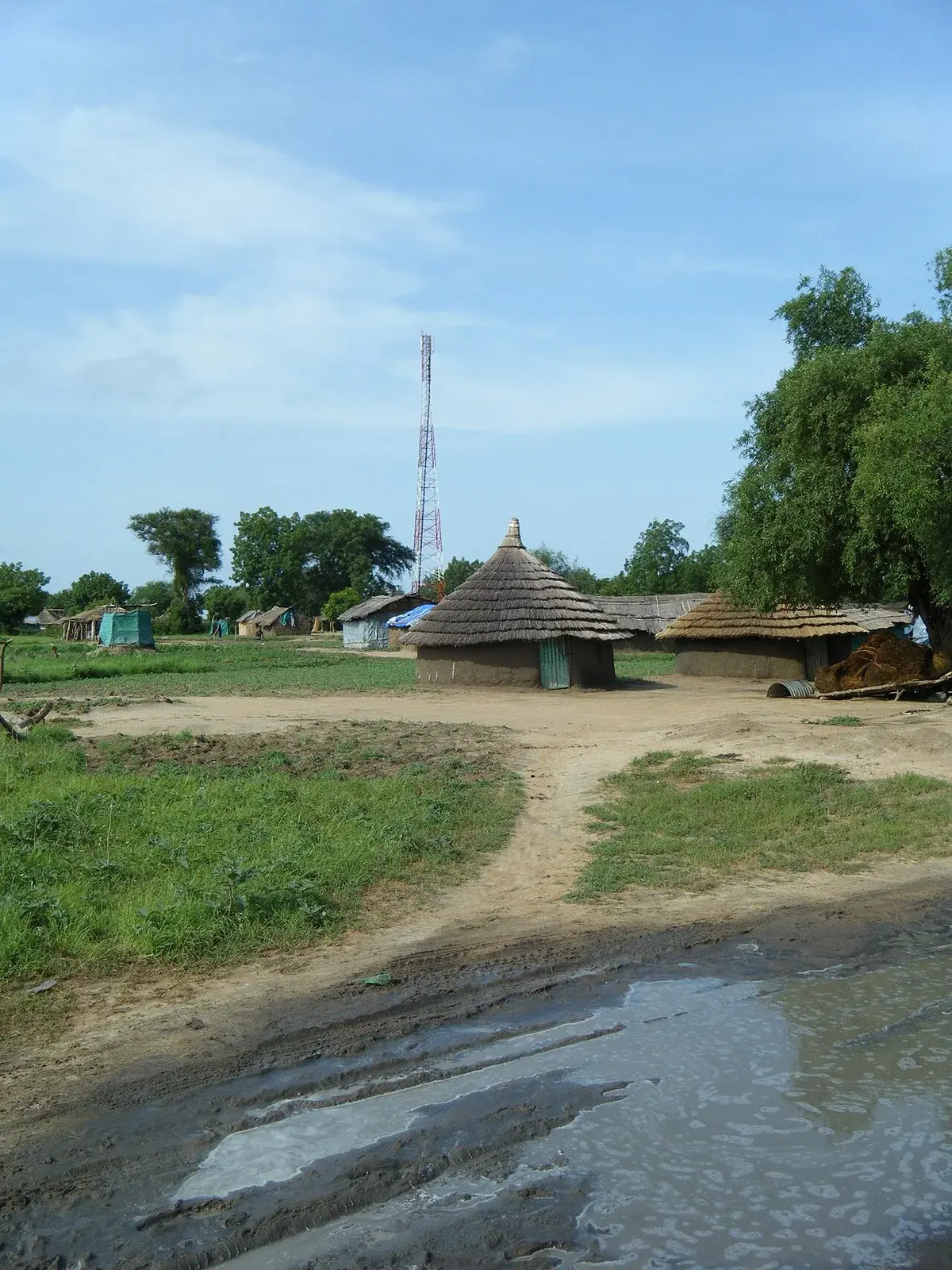Rural huts in Bor, South Sudan, with a mobile tower in the background.
