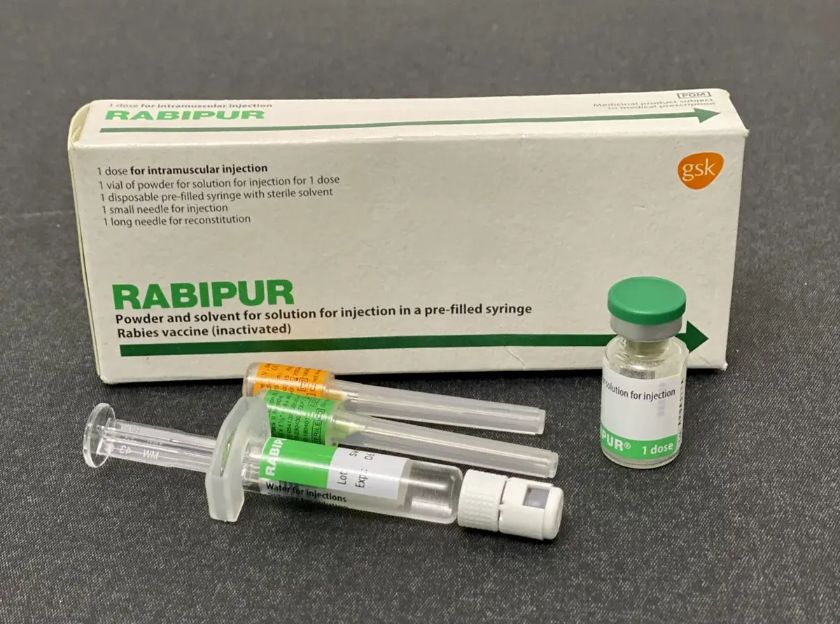 Rabipur rabies vaccine injection pack with syringe and vial