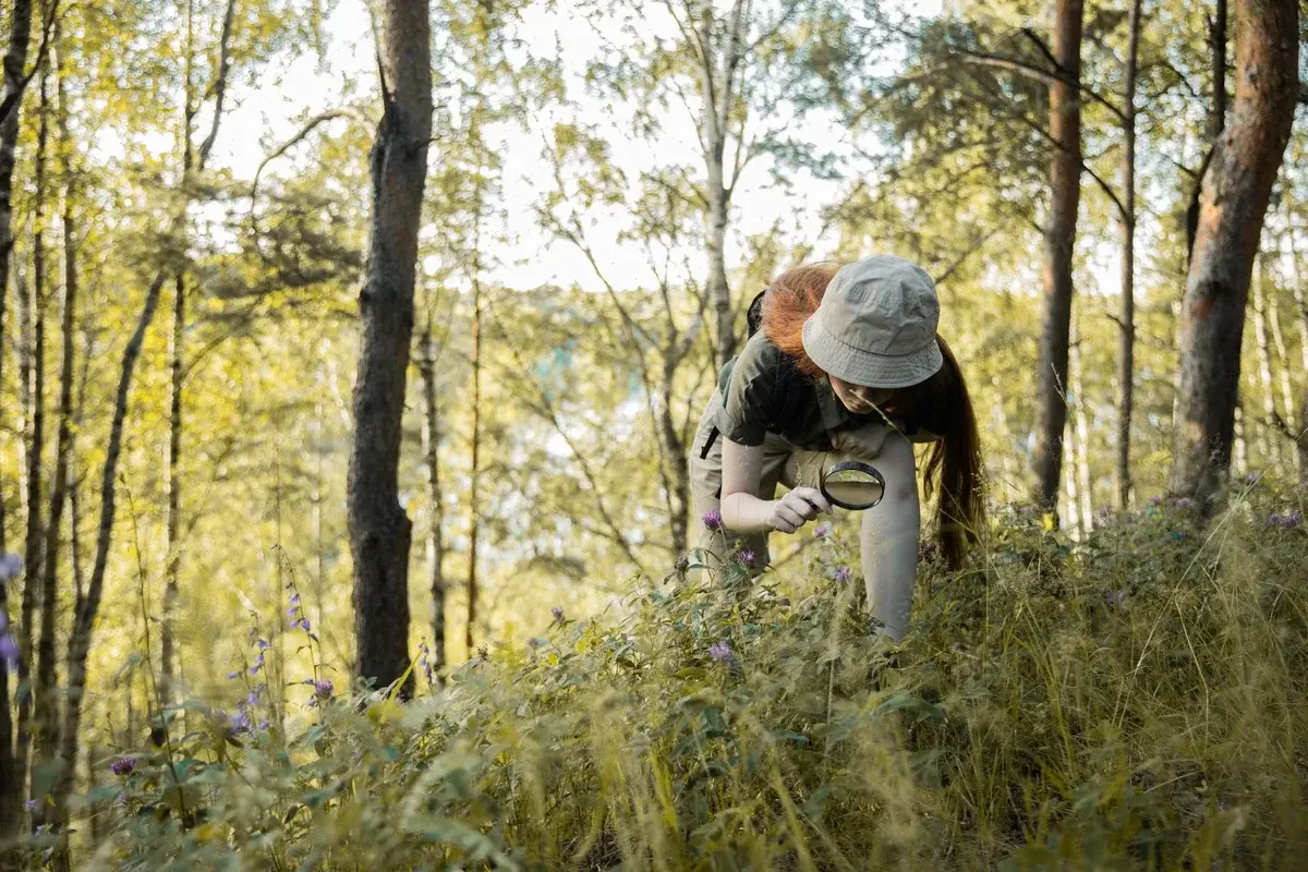 Red-haired teenage girl examining wildflowers with a magnifying glass in a forest