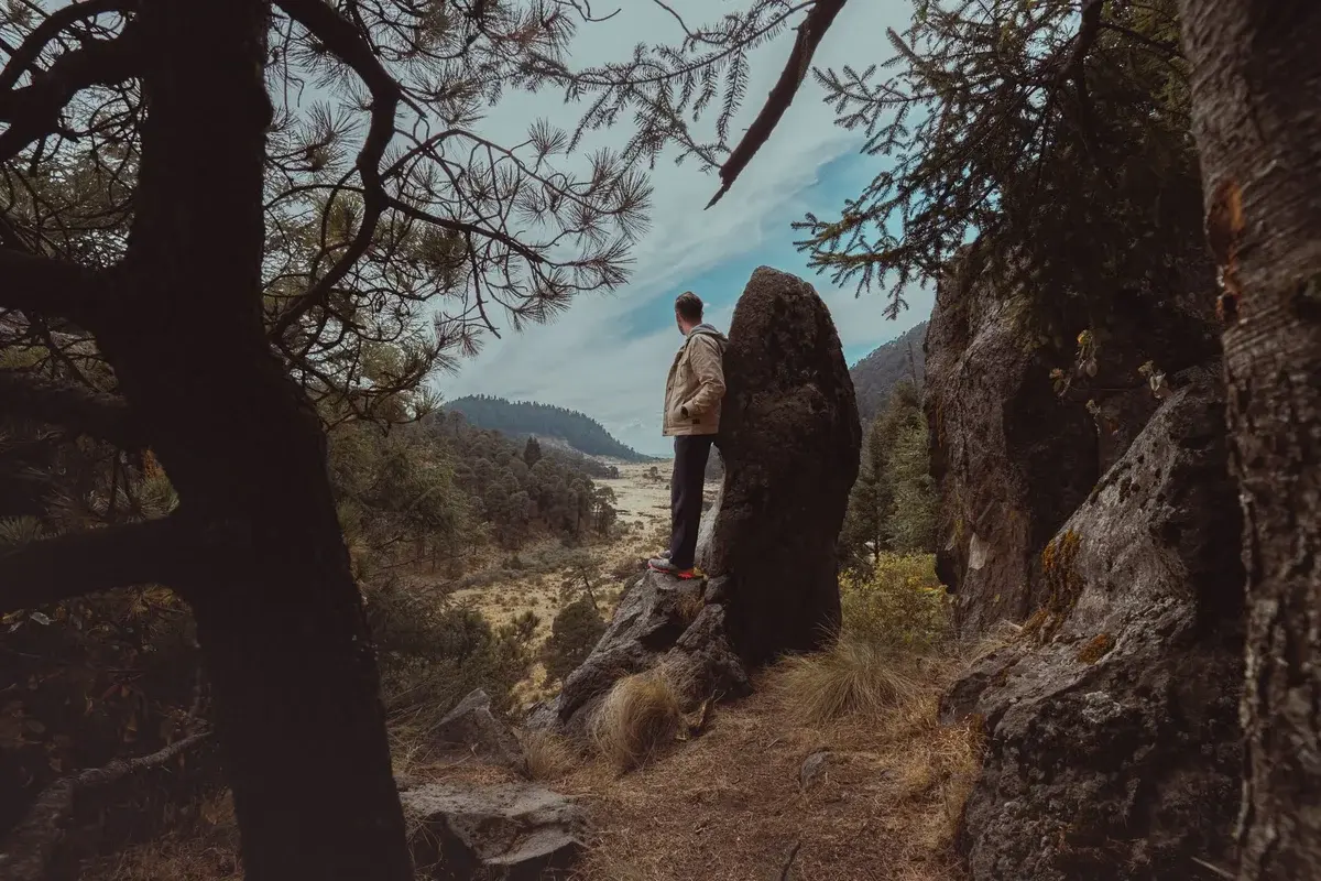Man on rock in forested mountain valley