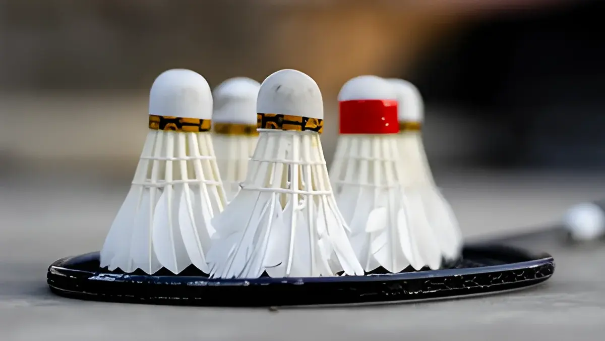 Badminton shuttlecocks arranged on a racket