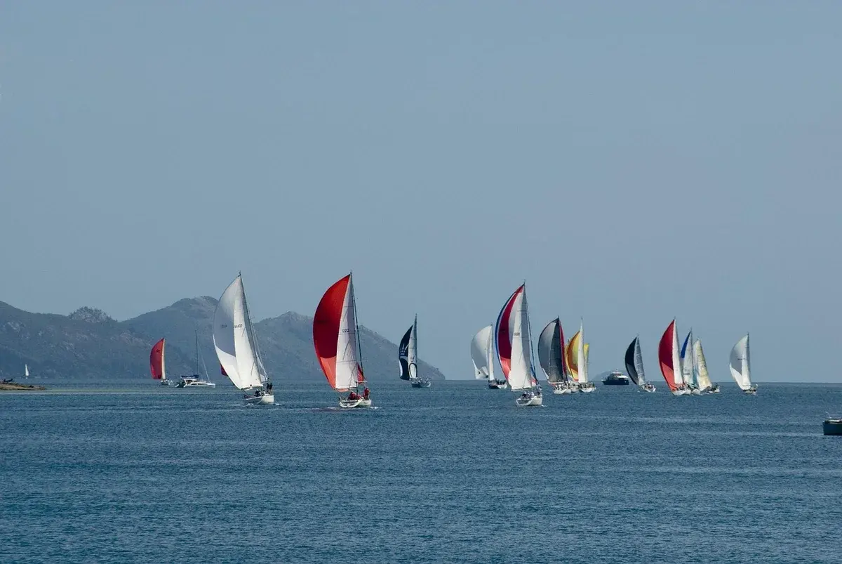 Several sailboats racing on the sea.