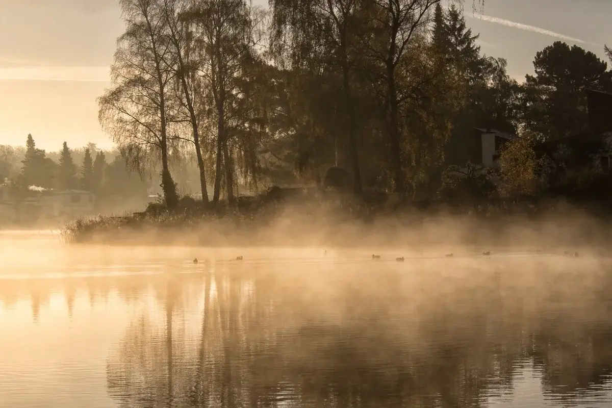 Morning mist over Birkerød Lake with trees and calm water